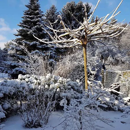Holiday home In Coswig 3105