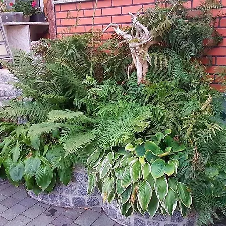In Coswig 3105 * Mollensdorf