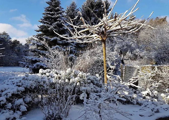 Casa vacanze In Coswig 3105