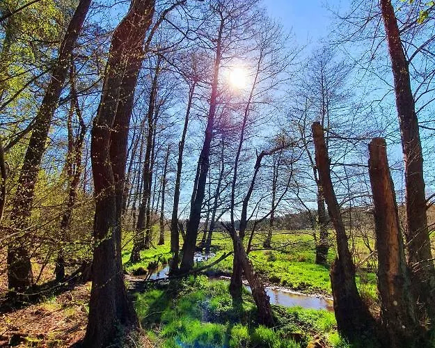 In Coswig 3105 Casa vacanze