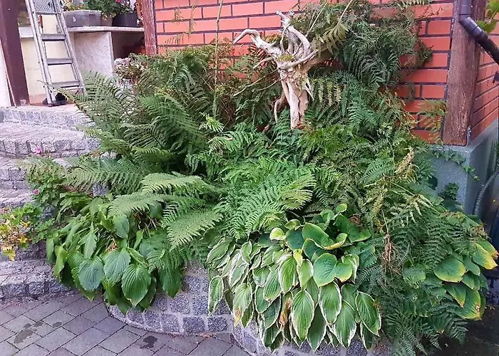 In Coswig 3105 * Mollensdorf