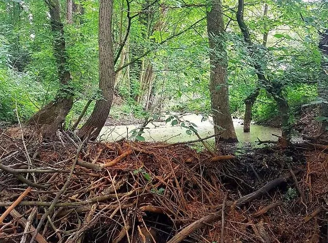 Casa vacanze In Coswig 3105 *